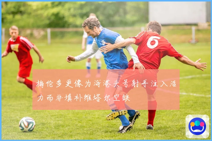 梅伦多更像为海港头号射手注入活力而非填补维塔尔空缺