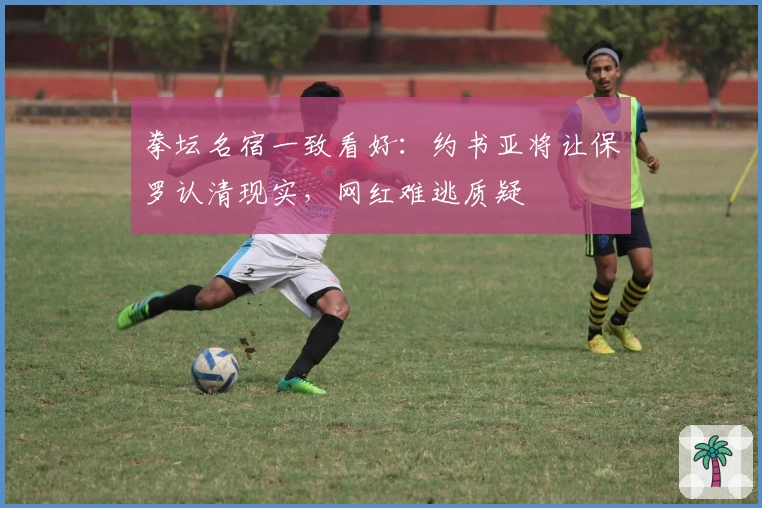 拳坛名宿一致看好：约书亚将让保罗认清现实，网红难逃质疑