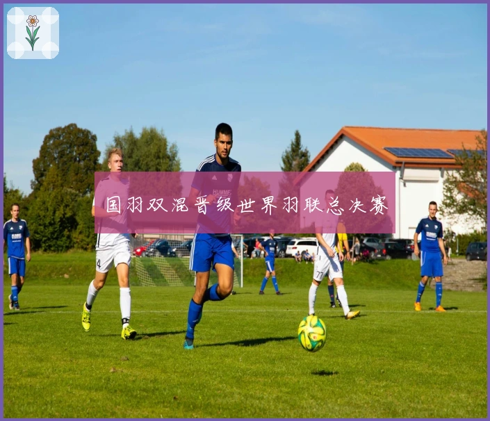 国羽双混晋级世界羽联总决赛