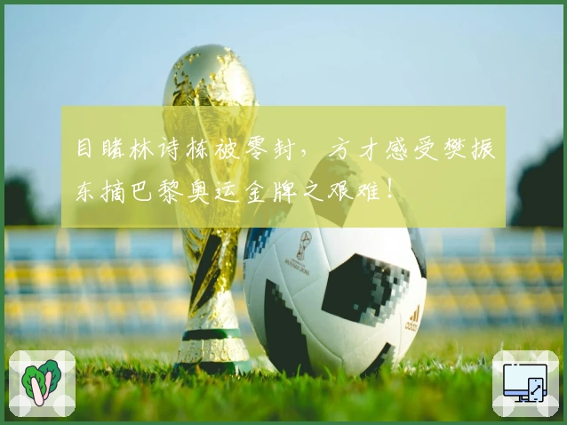 目睹林诗栋被零封，方才感受樊振东摘巴黎奥运金牌之艰难！